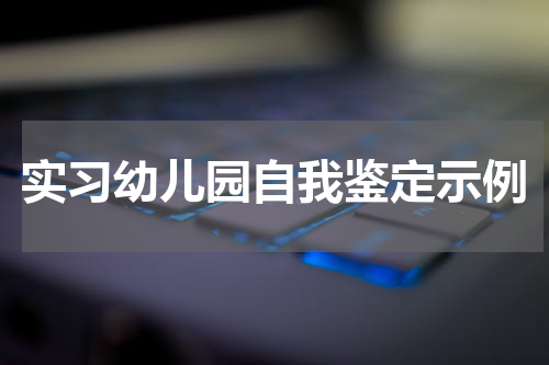 实习幼儿园自我鉴定示例