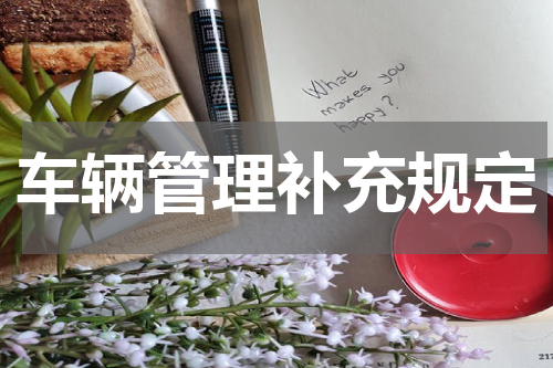车辆管理补充规定