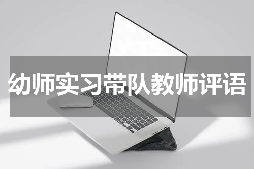 幼师实习带队教师评语