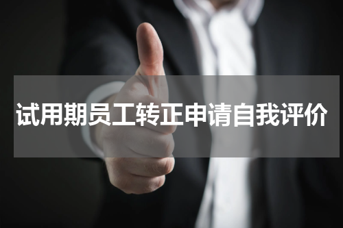 试用期员工转正申请自我评价