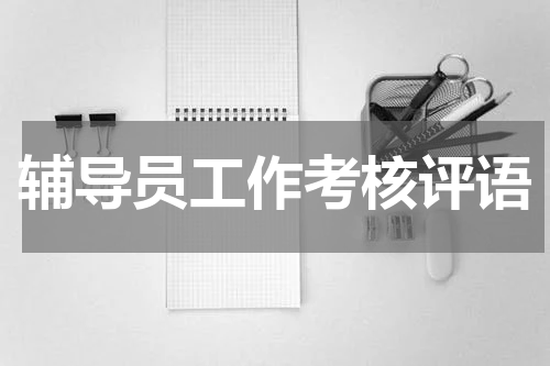 辅导员工作考核评语