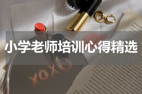 小学老师培训心得精选