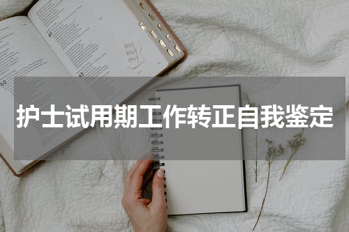 护士试用期工作转正自我鉴定