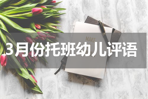 3月份托班幼儿评语
