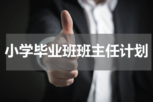 小学毕业班班主任计划