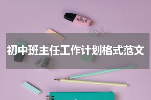 初中班主任工作计划格式范文