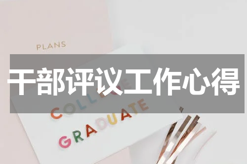 干部评议工作心得