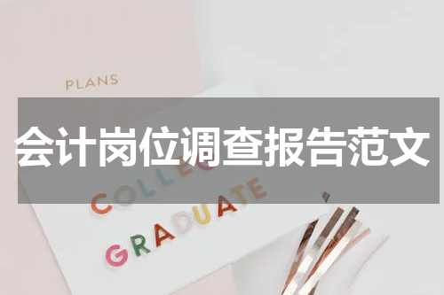 会计岗位调查报告范文