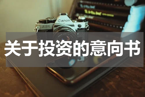 关于投资的意向书