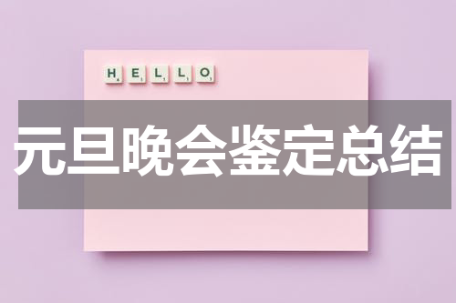 元旦晚会鉴定总结