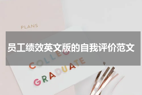 员工绩效英文版的自我评价范文
