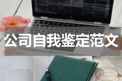 公司自我鉴定范文