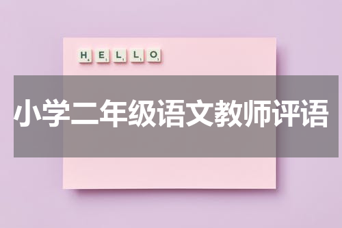 小学二年级语文教师评语