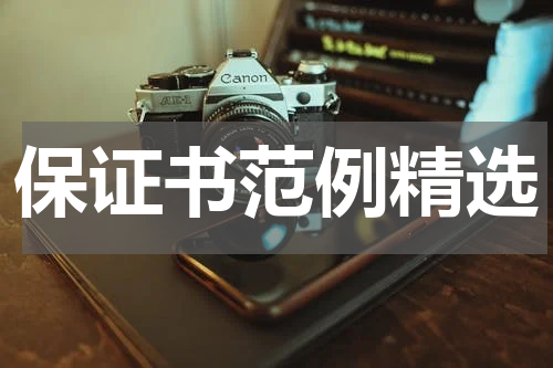 保证书范例精选