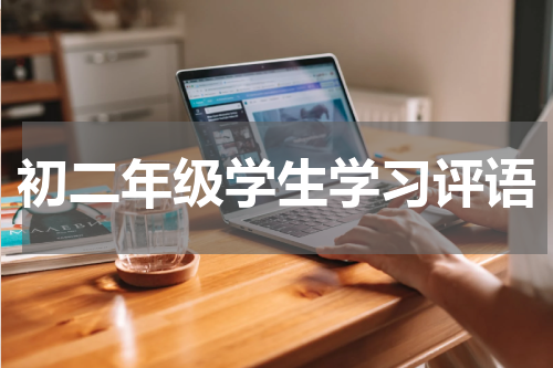 初二年级学生学习评语