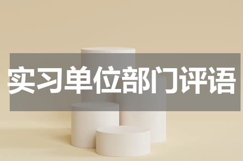 实习单位部门评语