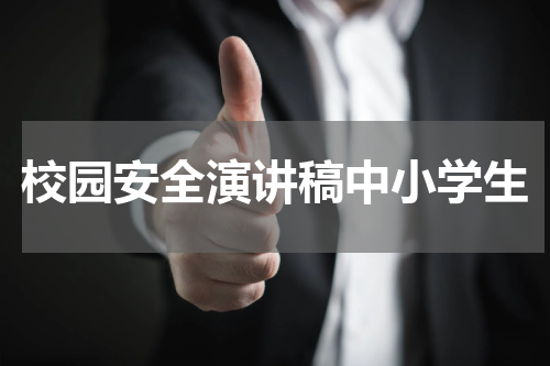 校园安全演讲稿中小学生
