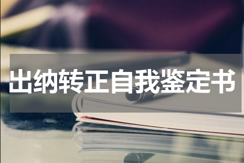 出纳转正自我鉴定书
