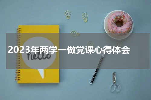 2023年两学一做党课心得体会