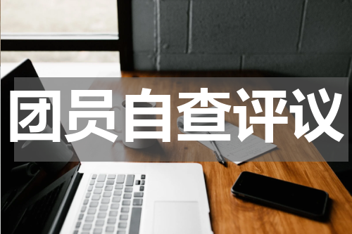 团员自查评议