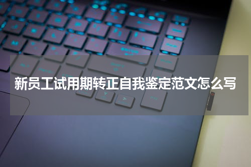 新员工试用期转正自我鉴定范文怎么写