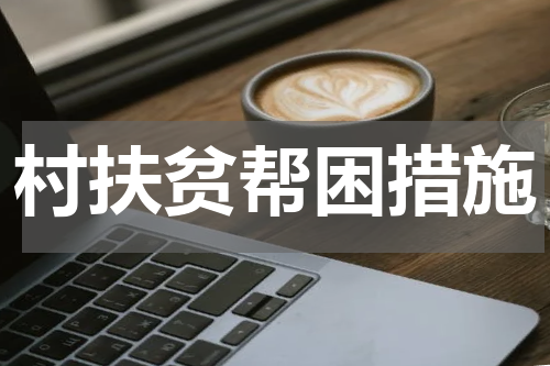 村扶贫帮困措施
