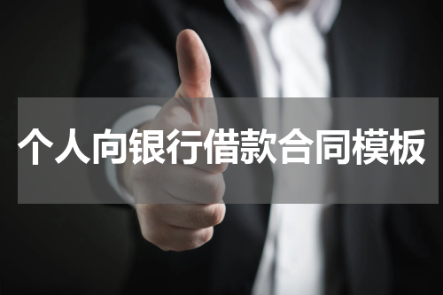 个人向银行借款合同模板