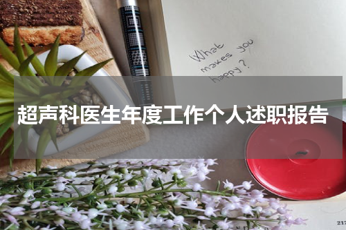 超声科医生年度工作个人述职报告