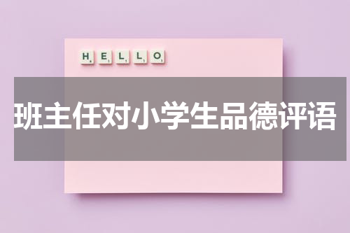 班主任对小学生品德评语