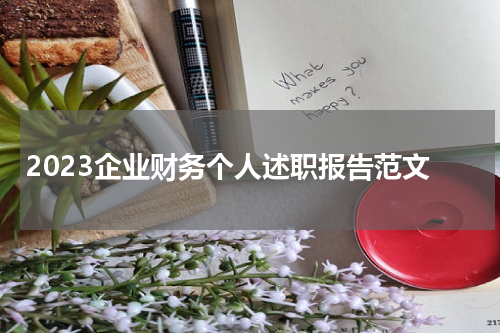 2023企业财务个人述职报告范文