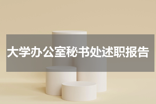 大学办公室秘书处述职报告