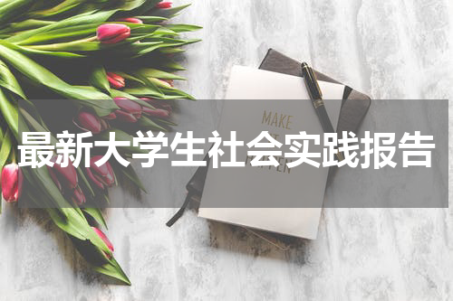 最新大学生社会实践报告