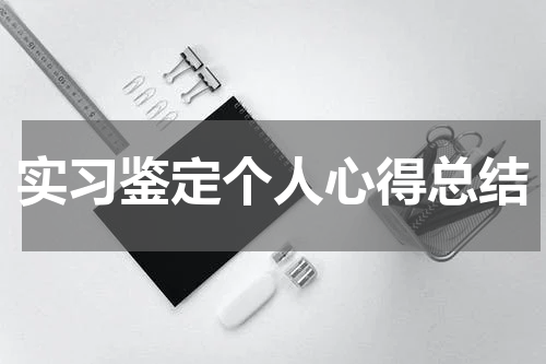 实习鉴定个人心得总结