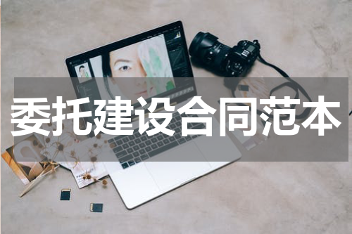 委托建设合同范本