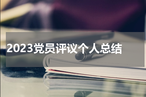 2023党员评议个人总结