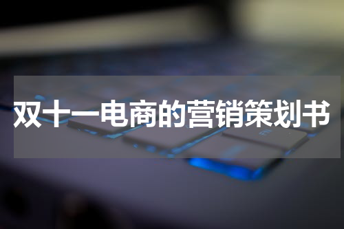 双十一电商的营销策划书