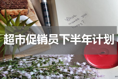 超市促销员下半年计划