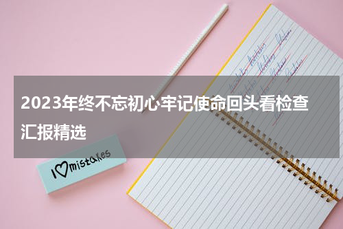 2023年终不忘初心牢记使命回头看检查汇报精选