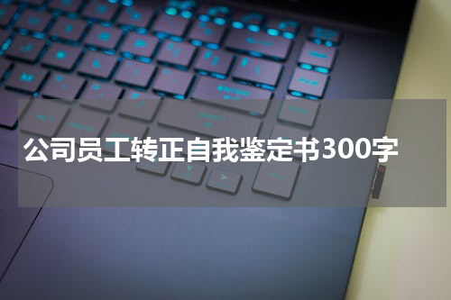 公司员工转正自我鉴定书300字