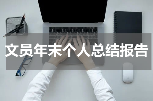 文员年末个人总结报告