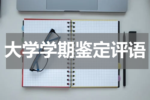 大学学期鉴定评语