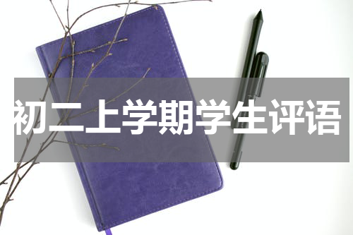 初二上学期学生评语