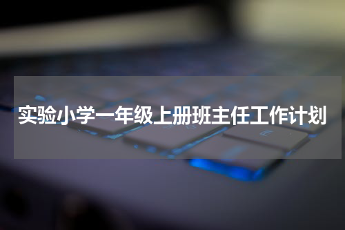 实验小学一年级上册班主任工作计划