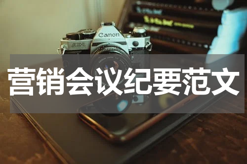 营销会议纪要范文
