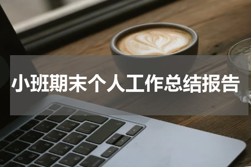 小班期末个人工作总结报告