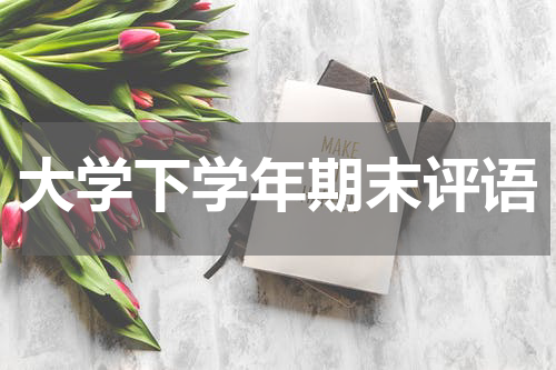 大学下学年期末评语