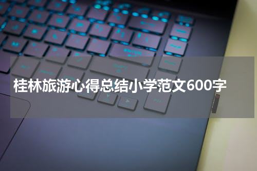 桂林旅游心得总结小学范文600字
