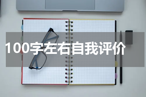 100字左右自我评价