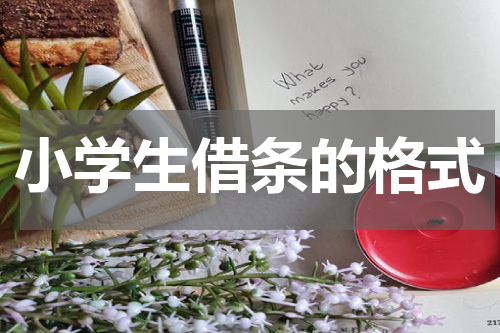 小学生借条的格式
