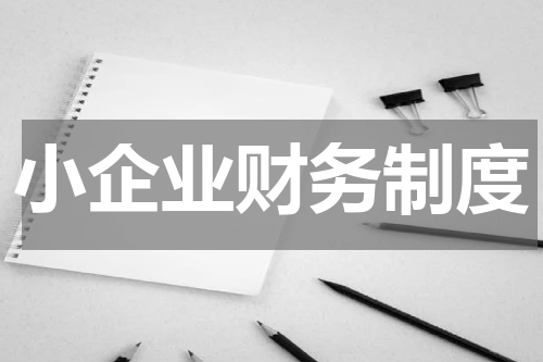 小企业财务制度